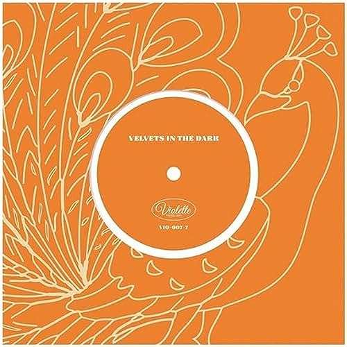 Velvets in the Dark/Koala Bears von Modern Sky