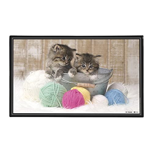 Viquel - Schreibtischunterlage mit Katzenmotiv, dekorativ, Schutz für den Schreibtisch für Kinder oder Erwachsene, Kätzchen, 59,5 x 36,2 cm, Schwarz Viquel - Schreibtischunterlage mit Katzenmotiv, dekorativ, Schutz für den Schreibtisch für Kinder oder Erwachsene, Kätzchen, 59,5 x 36,2 cm, Schwarz von Viquel