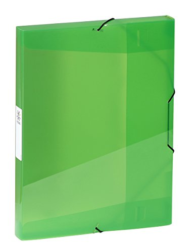 Viquel – Hemd Kunststoff, elastische – Boite de Ranking Format A4 – Etikett Identifikation auf der Seite – hergestellt in Frankreich – Grün Transparent von Viquel