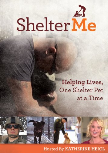 Shelter Me / (Ws) [DVD] [Region 1] [NTSC] [US Import] von Virgil Films and Entertainment