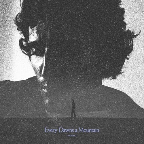Every Dawn's A Mountain ( LP) [Vinyl LP] von Virgin Music Las (Universal Music)