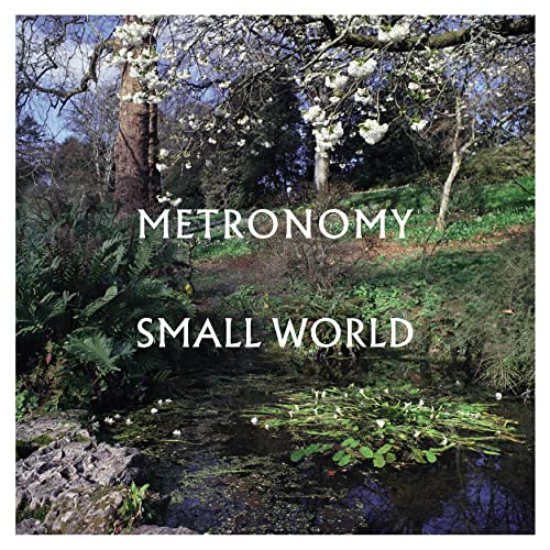 Small World [Vinyl LP] von Virgin Music
