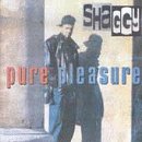 Pure Pleasure [Musikkassette] von Virgin Records UK