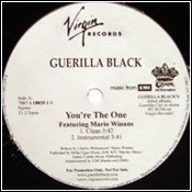 You're the One [Vinyl LP] von Virgin Records Us