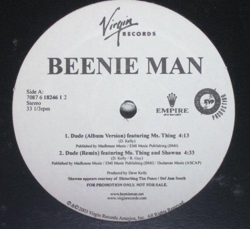 Dude [Vinyl Single] von Virgin
