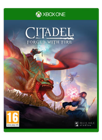 Citadel: Forged with Fire von Virtual Basement