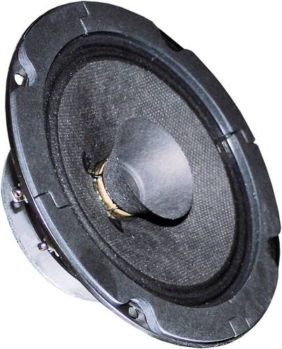 Visaton BG 13 P - 8 Ohm 5 Zoll 13cm Breitbänder 20W 8Ω von Visaton