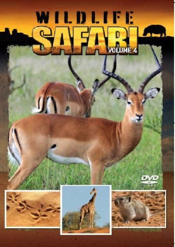 Wildlife Safari Volume 4 [DVD] von Vision ( General Publishing)