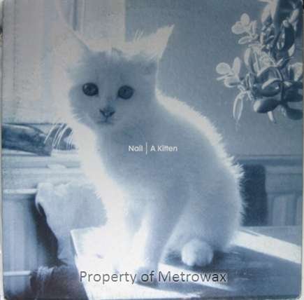 A Kitten [Vinyl Maxi-Single] von Vital (Rough Trade)