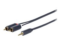 VivoLink - Audiokabel - Stereo-Miniklinke (Stecker) auf RCA (Stecker) - 10 m - doppelt geschirmt von VivoLink