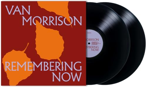 Remembering Now (2lp) [Vinyl LP] von Vmg/Virgin Music International (Rough Trade)