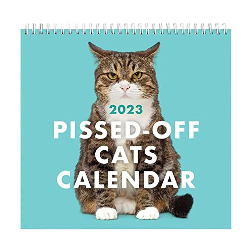 2023 Pissed-Off Cats Kalender, süßer lustiger Katzen-Wandkalender for Aufhängen, monatliches Format, dekorative lustige Wandkunst, Geschenk for Katzenliebhaber von Voiakiu