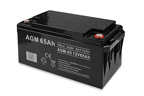 AGM Akku 12V 65Ah AGM Akku 12V 65Ah von Volt Polska