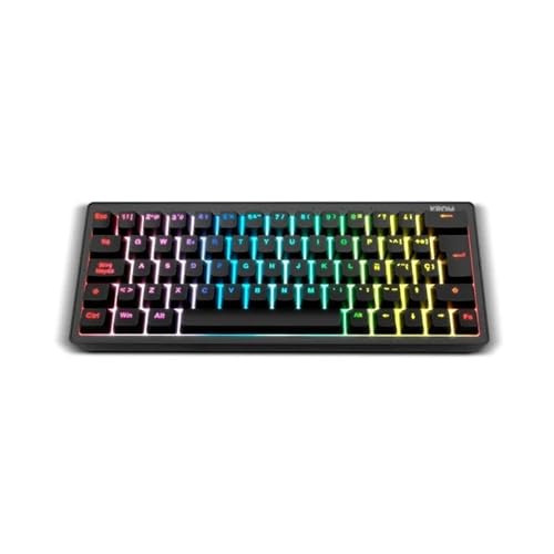 VoltShine Mechanische Tastatur - Mini-Tastatur mit RGB-Hintergrundbeleuchtung, kompakt, einfacher Zugriff auf Funktionen, ideal für Gaming und Büro VoltShine Mechanische Tastatur - Mini-Tastatur mit RGB-Hintergrundbeleuchtung, kompakt, einfacher Zugriff auf Funktionen, ideal für Gaming und Büro von VoltShine
