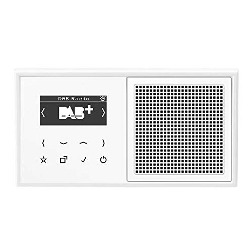 Jung Smart Radio DAB Komplett-Set Weiß Serie LS DABLS1WW mit Lautsprecher und 2-Fach Rahmen LS982WW Jung Smart Radio DAB Komplett-Set Weiß Serie LS DABLS1WW mit Lautsprecher und 2-Fach Rahmen LS982WW von Voltking