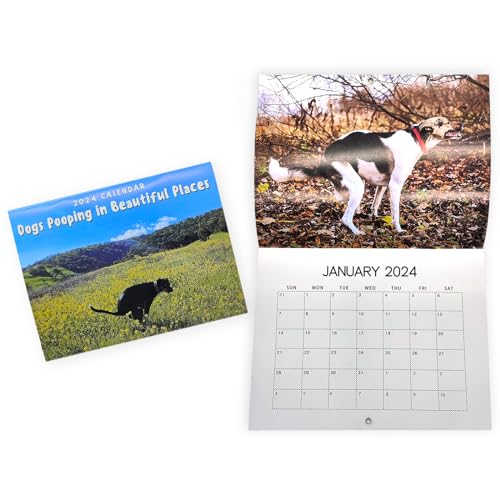 Vordpe Pooping Dogs Calendar 2024, Hund Pooping Wandkalender, Lustige Kackende Tiere Kalender, Wandkalender, Geschenk Für Freunde, Familie, Nachbarn von Vordpe