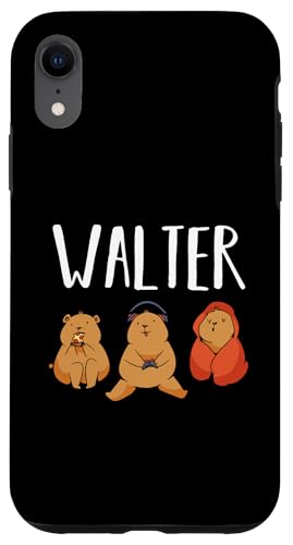 Gamer Zocker Zocken Gaming Walter Hülle für iPhone XR von Vorname Walter