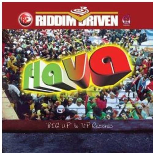 Flava (Riddim Driven) [Vinyl LP] von Vp Records (Hoanzl)