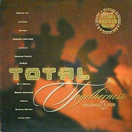 Total Togetherness Vol.10 [Vinyl LP] von Vp Records (Hoanzl)