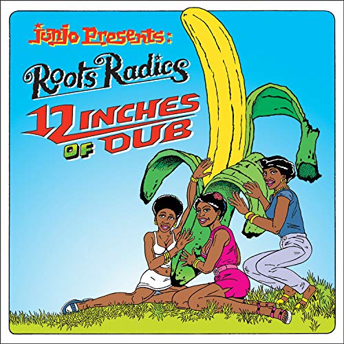 12 Inches of Dub von Vp Records