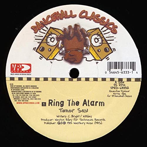 Ring The Alarm/Skin Out [Vinyl LP] von Vp Records