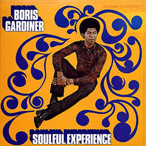 Soulful Experience [Vinyl LP] von Vp Records