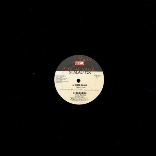 Stalag Y2K [Vinyl LP] von Vp Records