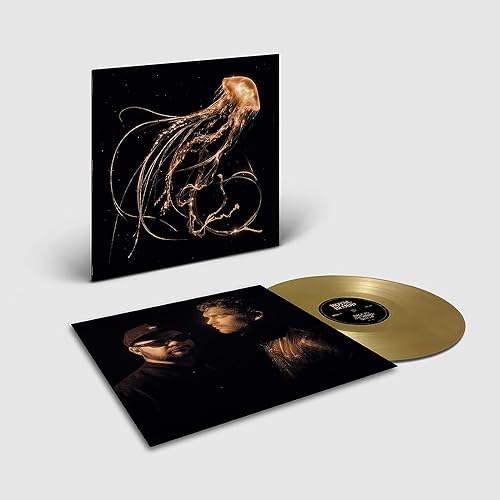 Royal Blood, Neues Album 2023, Back to the Water Below, Exklusiv Gold Vinyl, LP von W a r n e r