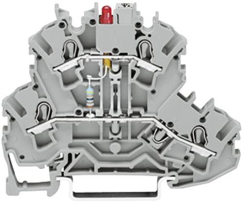 WAGO 2002-2211/1000-410 Doppelstock-Diodenklemme 5.20mm Zugfeder Belegung: L Grau 1St. von WAGO