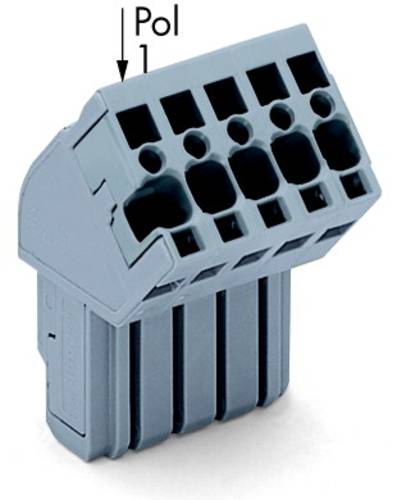 WAGO 769-110/022-000 Federleiste 25St. WAGO 769-110/022-000 Federleiste 25St. von WAGO