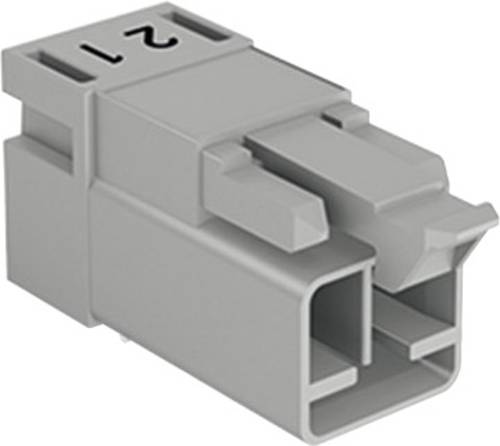 WAGO 890-872/011-000 Netz-Steckverbinder WINSTA MINI Stecker, Einbau horizontal Gesamtpolzahl: 2 16A von WAGO