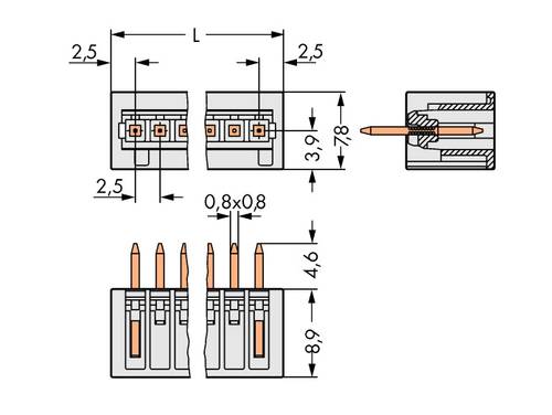 WAGO Stiftgehäuse-Kabel 733 Polzahl Gesamt 6 Rastermaß: 2.50mm 733-336 200St. WAGO Stiftgehäuse-Kabel 733 Polzahl Gesamt 6 Rastermaß: 2.50mm 733-336 200St. von WAGO