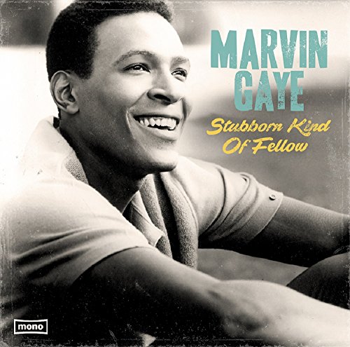 Stubborn Kind Of Fellow [Vinyl LP] von Imports