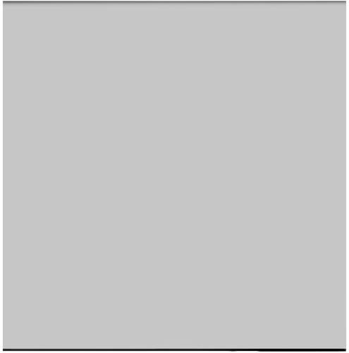 Walimex Pro 19928 19928 Graufilter Walimex Pro 19928 19928 Graufilter von WALIMEX PRO