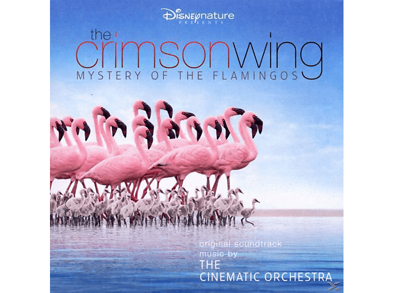 The Cinematic Orchestra - Crimson Wing-Mystery Of Flamingos (CD) von WALT DISNE