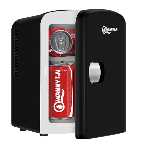 WANNYTON Mini Kühlschrank 4 L, Mini Kühlbox mit Kühl-/Wärmefunktion, tragbarer Kosmetik Kühlschrank, Autokühlbox AC 220-240 V DC 12 V, für Auto Camping Büro Schlafzimmer (Schwarz) von WANNYTON