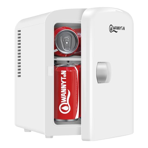 WANNYTON Mini Kühlschrank 4 L, Mini Kühlbox mit Kühl-/Wärmefunktion, tragbarer Kosmetik Kühlschränke, Autokühlbox AC 220-240 V DC 12 V, für Auto Camping Büro Schlafzimmer (Weiß) von WANNYTON