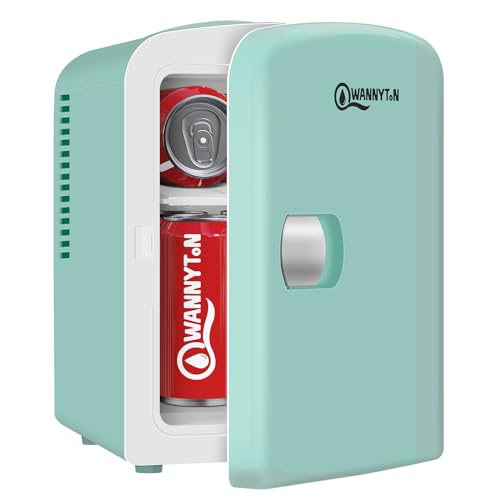 WANNYTON Mini Kühlschrank 4 L, Mini Kühlbox mit Kühl-/Wärmefunktion, tragbarer Kosmetik Kühlschränke, Autokühlbox AC 220-240 V DC 12 V, für Auto Camping Büro Schlafzimmer (Grün) von WANNYTON