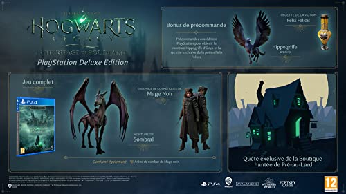 WARNER BROS INTERACTIVE Hogwarts Legacy Deluxe P4 VF.Heritage de Pudlard WARNER BROS INTERACTIVE Hogwarts Legacy Deluxe P4 VF.Heritage de Pudlard von WARNER BROS INTERACTIVE