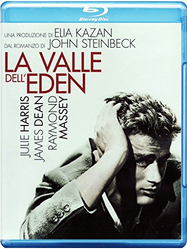 La valle dell'Eden [Blu-ray] [IT Import] von WARNER BROS. ENTERTAINMENT ITALIA SPA