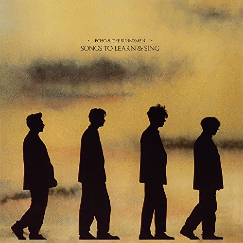 Songs to Learn & Sing (2021) [Vinyl LP] von Rhino