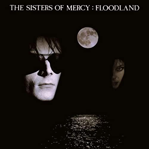 Floodland [Vinyl LP] von WARNER MUSIC UK