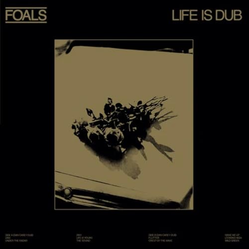 Life Is Dub [VINYL] [Vinyl LP] von WARNER RECORDS