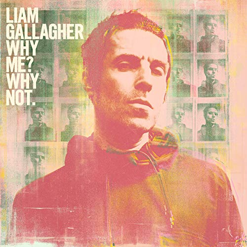Why Me? Why Not. [Vinyl LP] von WARNER MUSIC UK