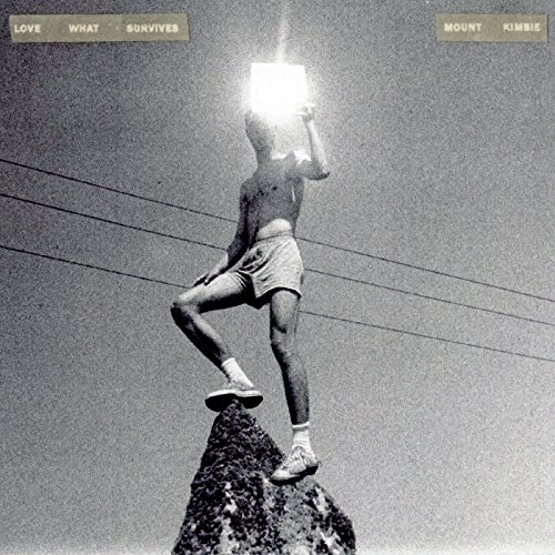 Love What Survives (Gatefold 2lp) [Vinyl LP] von WARP RECORDS