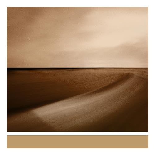 Small Craft on a Milk Sea [Vinyl LP] von WARP RECORDS