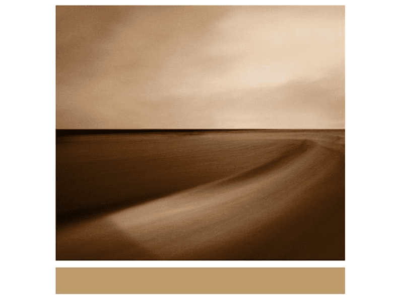 Brian Eno - Small Craft On A Milk Sea (LP + Download) von WARP