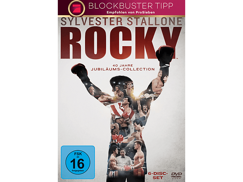 Rocky Complete Saga 1-6 DVD von WBHE