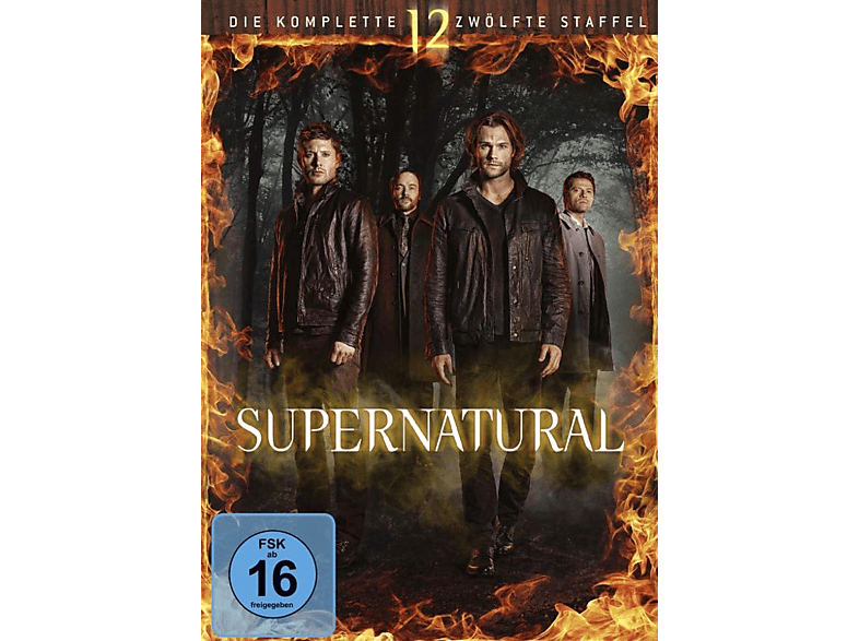 SUPERNATURAL - 12. STAFFEL DVD SUPERNATURAL - 12. STAFFEL DVD von WBHE