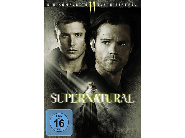 Supernatural: Die komplette 11. Staffel DVD Supernatural: Die komplette 11. Staffel DVD von WBHE